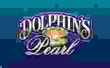 Dolphins Pearl