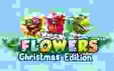 FlowersChristmas