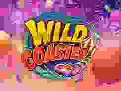 Wild Coaster