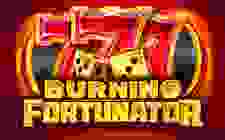 Burning Fortunator