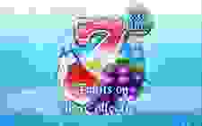 Fruits On Ice Collection 30 Lines